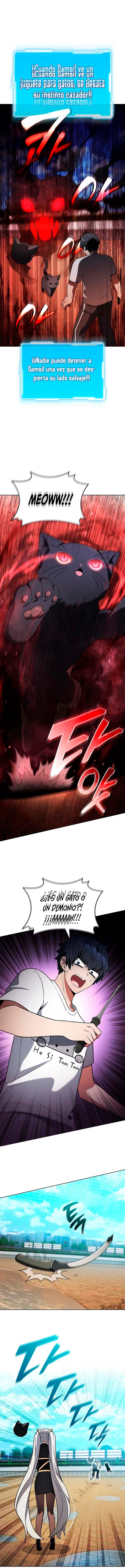 assets image