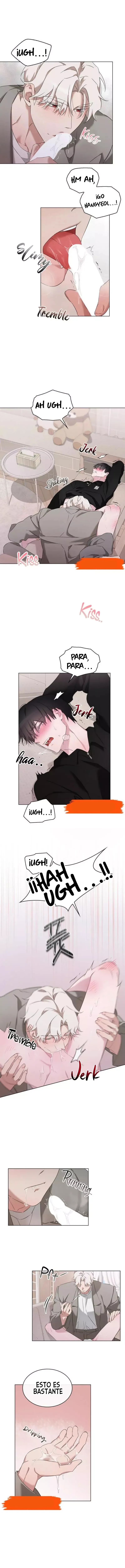 assets image
