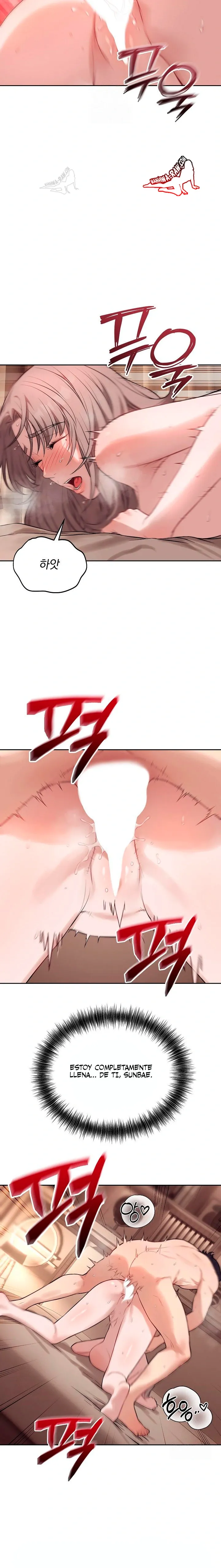 assets image