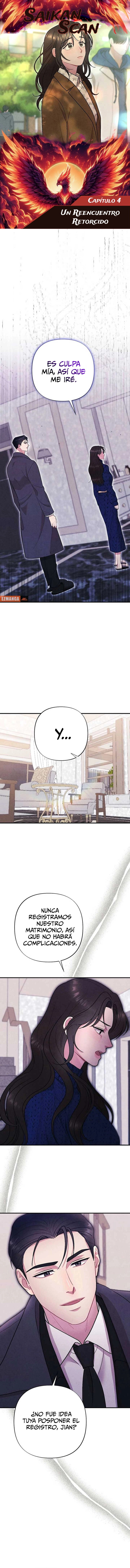 assets image