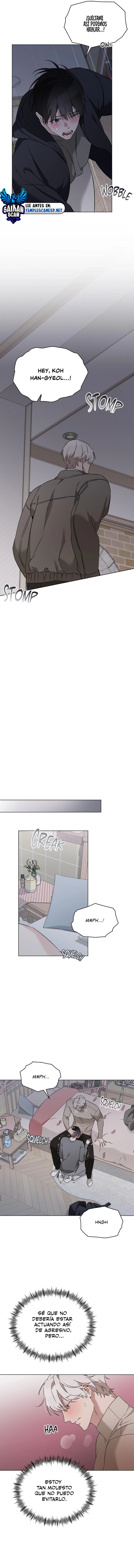 assets image
