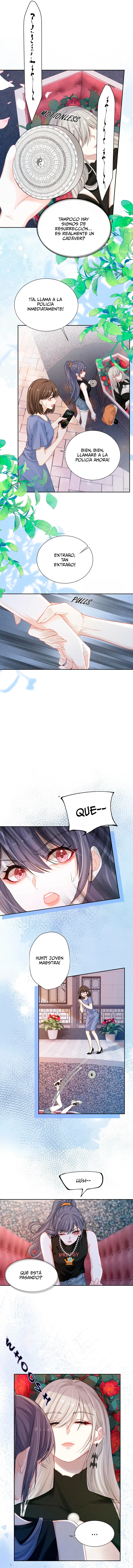 assets image