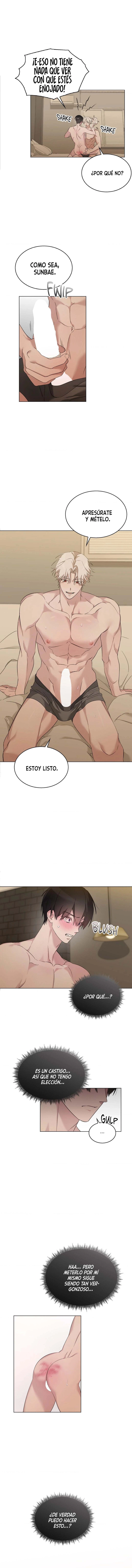assets image