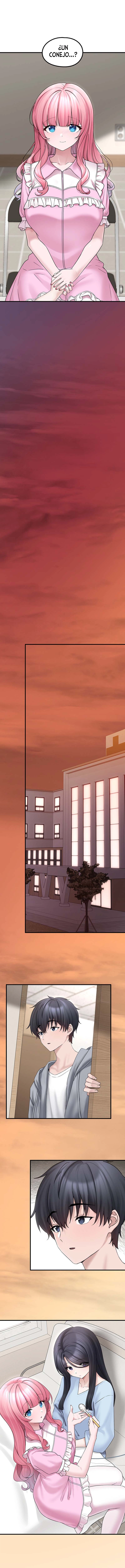 assets image