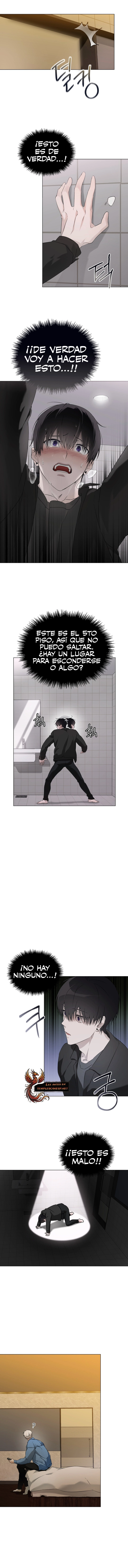 assets image
