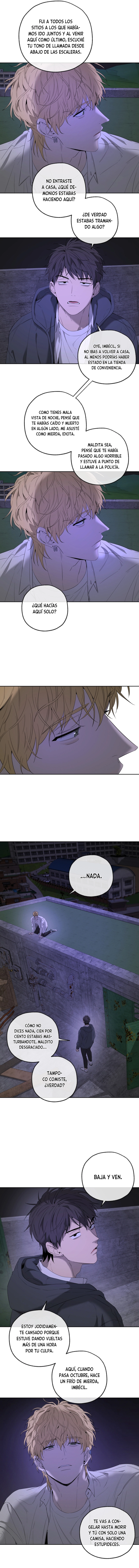 assets image