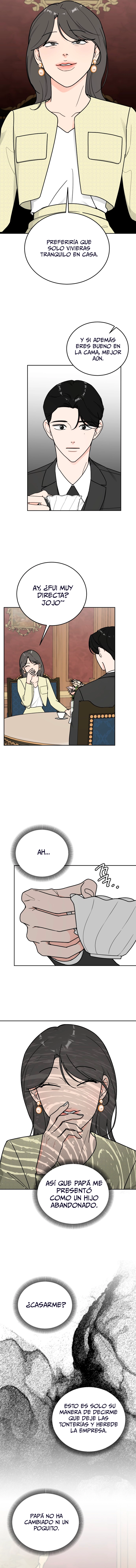 assets image