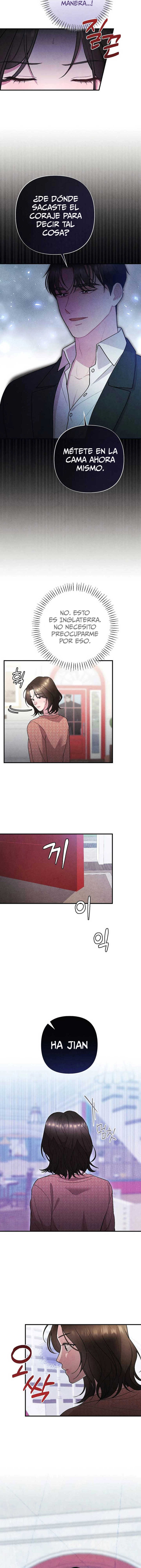assets image