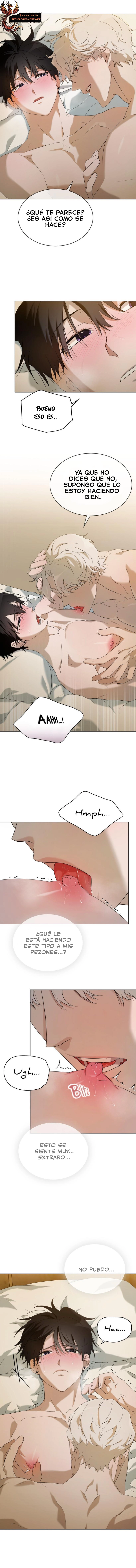 assets image
