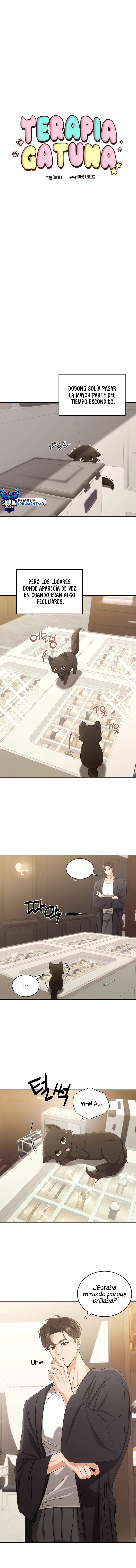 assets image