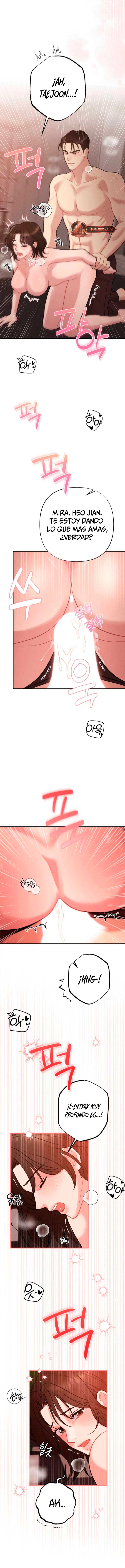 assets image