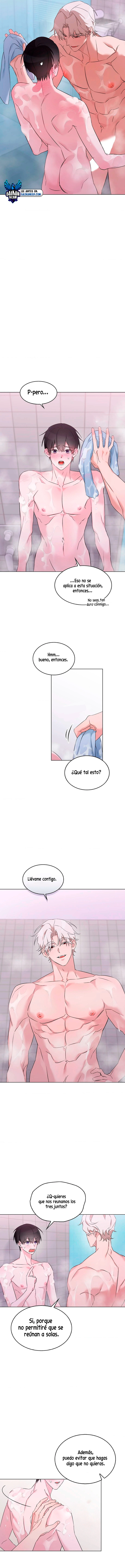 assets image