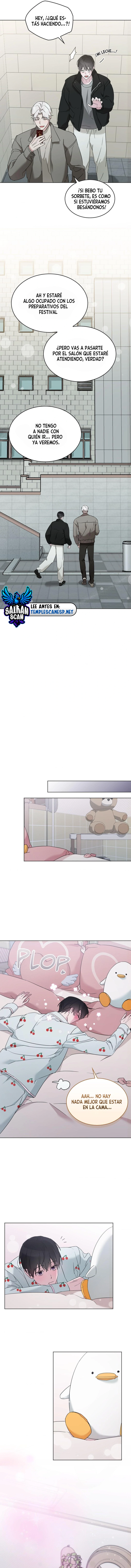 assets image