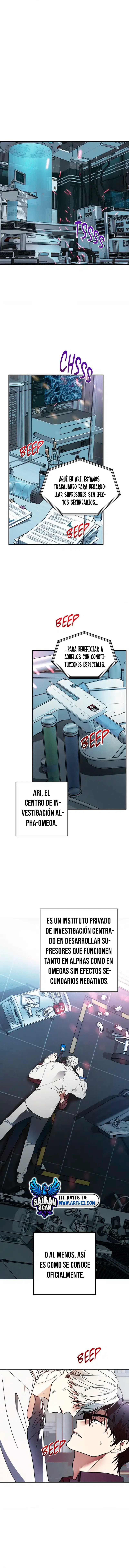 assets image