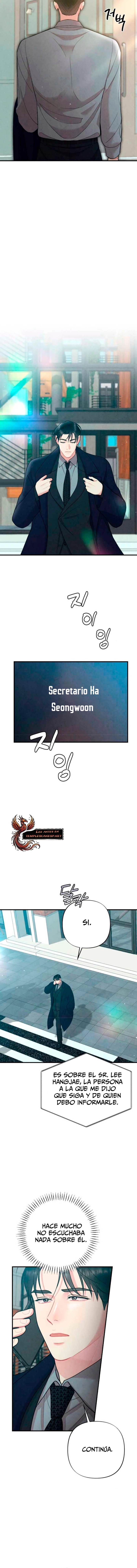 assets image