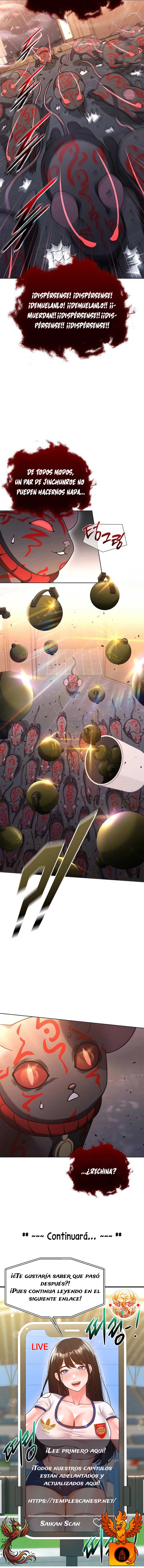 assets image