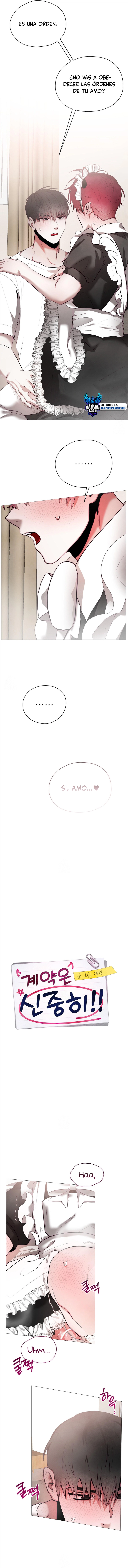 assets image