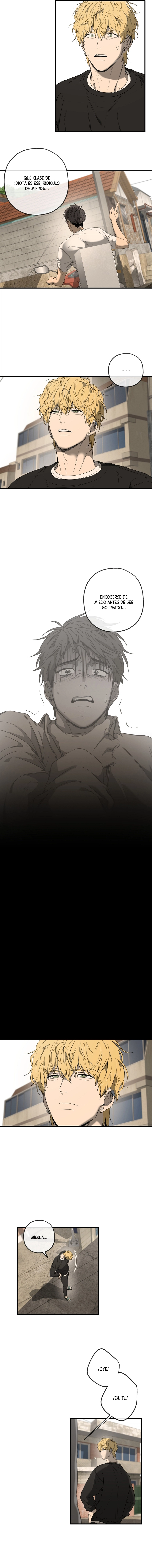 assets image