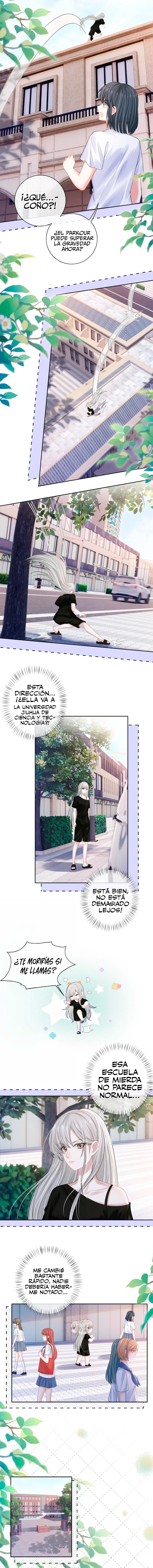 assets image